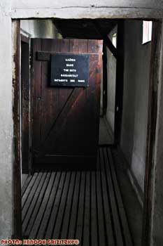 IMG_ (10825)